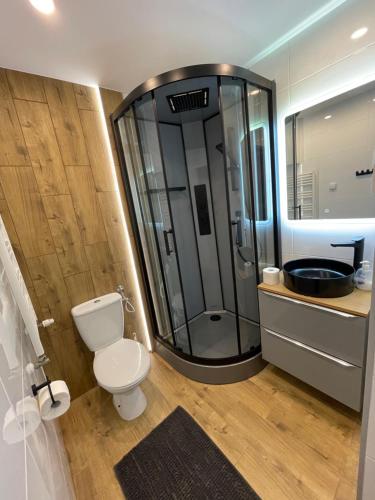 a bathroom with a shower and a toilet and a sink at EXPO KRUPÓWKI 60 APARTMENT in Zakopane