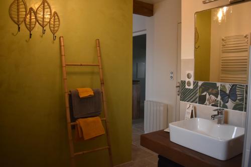 a bathroom with a sink and a ladder next to a mirror at Chambre au calme avec spa privatif gratuit sud aveyron les palmiers des causses in Saint-Rome-de-Tarn