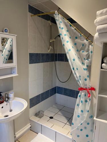 a bathroom with a shower with a shower curtain at The Pheasantry - guest house in beautiful rural location in Aldermaston