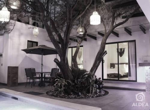 a tree in a courtyard with a table and chairs at VILLA HUIZACHE ALBERCA PRIVADA+EXCLUSIVIDAD+LUJO in San Martín de las Pirámides