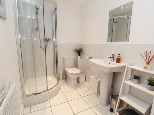 a bathroom with a shower and a toilet and a sink at Hafan Fach in Mold