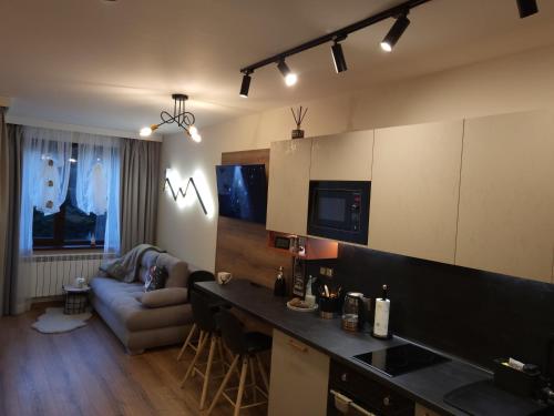 a kitchen and living room with a couch at Pinewood ANG luxurious apartment A43, Borovets Gardens in Borovets
