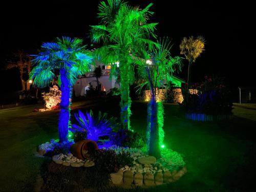 Κήπος έξω από το Casa A Colina