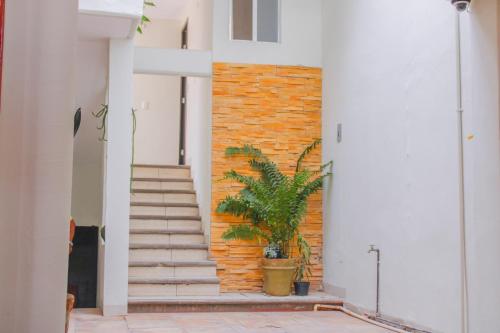 Fotografie z fotogalerie ubytování Bokatrip Jalatlaco v destinaci Oaxaca