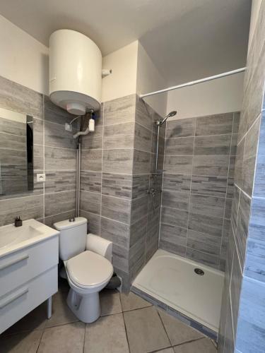 een badkamer met een toilet en een douche bij La douceur au coeur des chateaux de la Loire in Fondettes