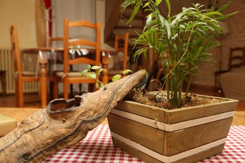 a plant in a wooden pot sitting on a table at o le zen in Saint-Juire-Champgillon