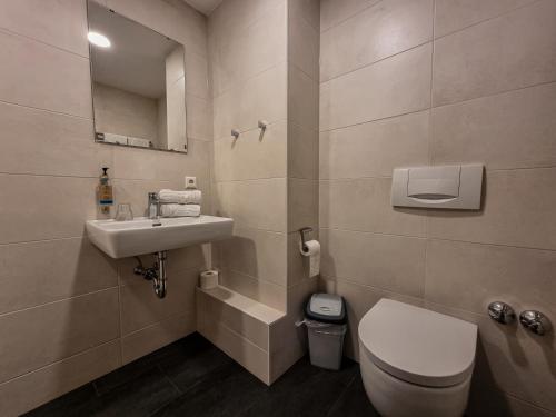 a bathroom with a toilet and a sink at Das Blümchen in Freiburg im Breisgau