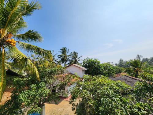 Ein Garten an der Unterkunft King CoCo House