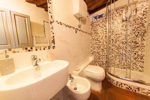 a bathroom with a sink and a toilet and a shower at Altana Panoramic in Lucca