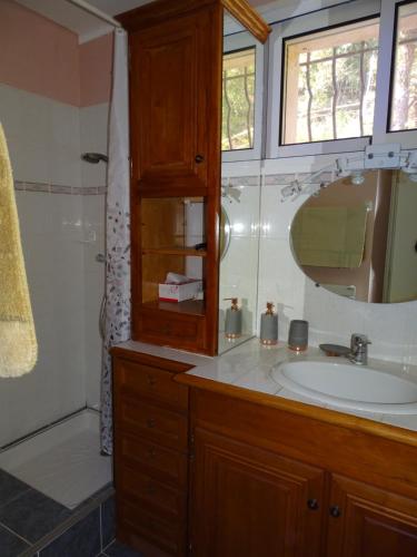 a bathroom with a sink and a shower and a mirror at Métairie de Lamourade - Un écrin de nature sereine in Saint-Ferriol