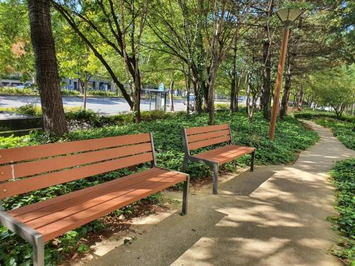 two benches in a park with trees and a sidewalk at Cozy House in Daegu