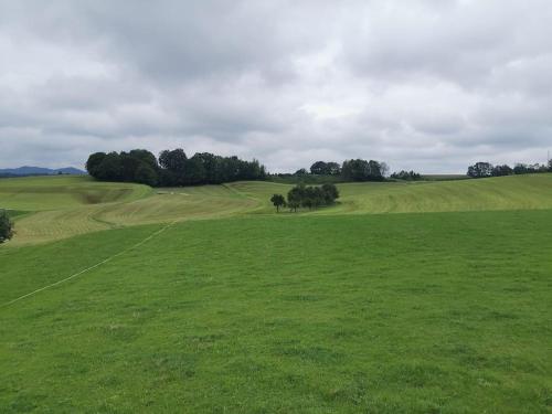 a large green field with trees in the distance at lovely apartment in Oberpilsbach