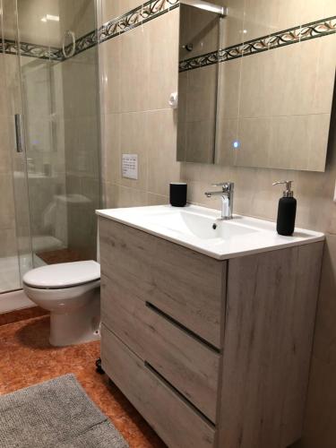 ミアミ・プラトーヤにあるSeñorin del Marのバスルーム(洗面台、トイレ、鏡付)
