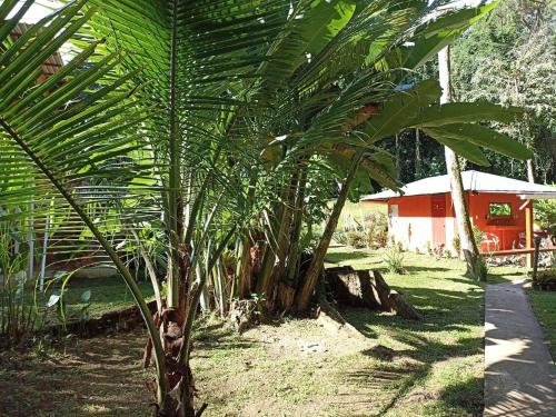 a group of palm trees in front of a building at Finca Valeria Treehouses Glamping in Cocles