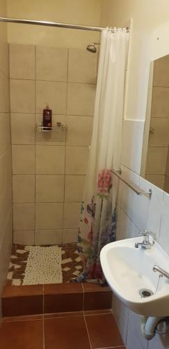 a bathroom with a shower with a sink and a shower curtain at Neat Haven Self Catering in Grahamstown