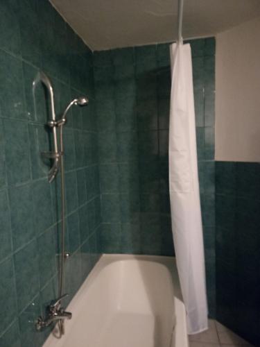 a bathroom with a shower with a tub and a toilet at Apartman Balta in Pale