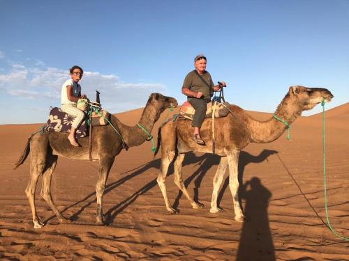 deux personnes à dos de chameau dans le désert dans l'établissement Erg Chegaga Camp & Activites, à M'Hamid El Ghizlane