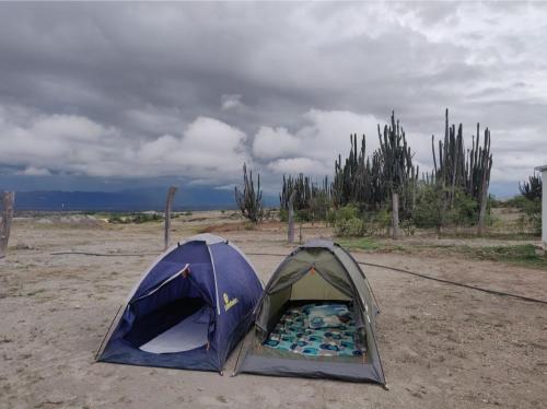 a blue tent in the middle of a field at Tatacoa barzalosa posada in Villavieja