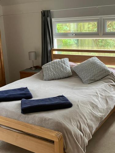 a bed with two blue pillows on it with a window at Entire house near beaches, footpaths, dog friendly in Barnstaple