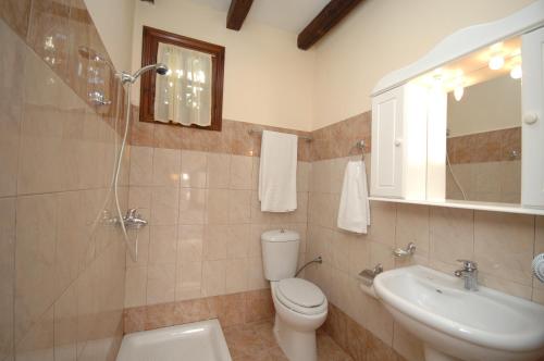 łazienka z toaletą i umywalką w obiekcie Sun of Mykonos Studios w mieście Klouvas