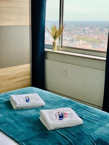 a bed with two pillows on it with a window at TOUR de l’europe, en plein centre avec parking. in Mulhouse