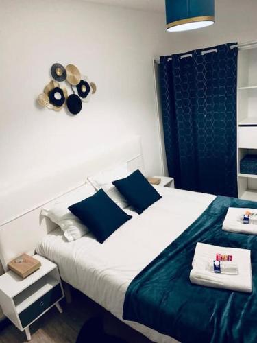 a bedroom with a bed with blue and white at TOUR de l’europe, en plein centre avec parking. in Mulhouse