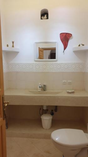 a bathroom with a sink and a toilet and a mirror at Riad Zidania in Taroudant
