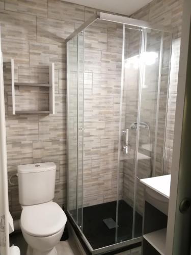 une salle de bain avec toilettes et douche en verre dans l'établissement Studio Pla d'Adet, à Saint-Lary-Soulan