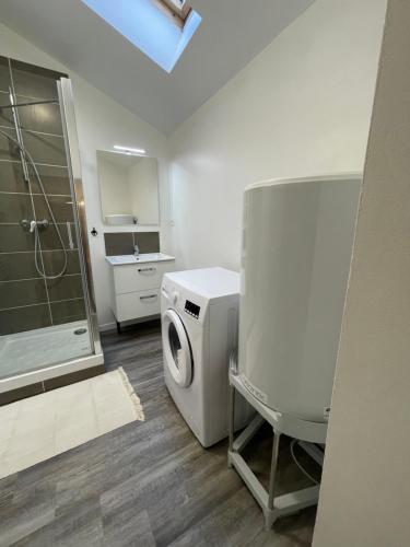 La salle de bains est pourvue d'une douche et d'un lave-linge. dans l'établissement WALLIS YourHostHelper, à Reims