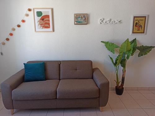 um sofá numa sala de estar com uma planta em Faubourg de la Cueille - Aux portes du Futuroscope em Poitiers