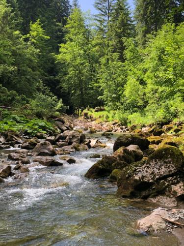 a river with rocks and trees in the background at Luxury Chalet, stunning views with hot tub & sauna in La Côte dʼArbroz
