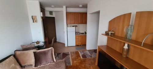 Η κουζίνα ή μικρή κουζίνα στο Apartman Velimir Stari Aerodrom