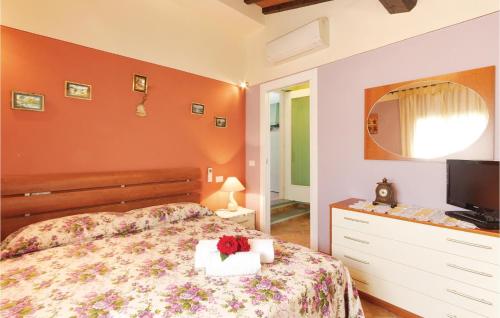 1 dormitorio con 1 cama, vestidor y TV en Nice Home In Castelfiorentino -fi- With Outdoor Swimming Pool, en Castelfiorentino