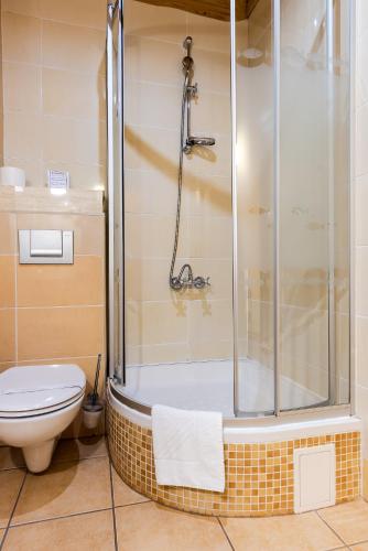 a bathroom with a shower and a toilet at Hotel Marysin Dwór in Katowice