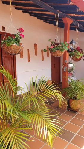 a patio with potted plants and plants at La Casona Espacio Bonito in Zapatoca