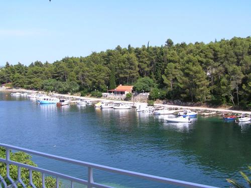 Φυσικό τοπίο κοντά σε αυτό το διαμέρισμα