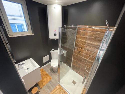 a bathroom with a shower and a toilet at Les Apparts de la Bastide 35A in Villeneuve-sur-Lot
