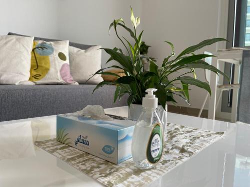 a table with a bottle of soap and a plant at Yas Island - 2 Bedrooms, 2 toilet with shared Pool & Parking in Abu Dhabi