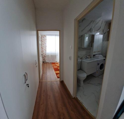 uma casa de banho com um lavatório, um WC e um espelho. em DDDD Apartament em Cavnic