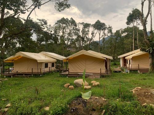 文冬的住宿－Canopy Villa Nuang Hill，一群在树丛中的帐篷