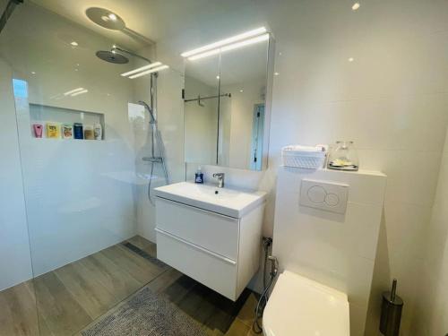 a white bathroom with a toilet and a sink at Prachtig guesthouse met gratis parkeren in Maasmechelen