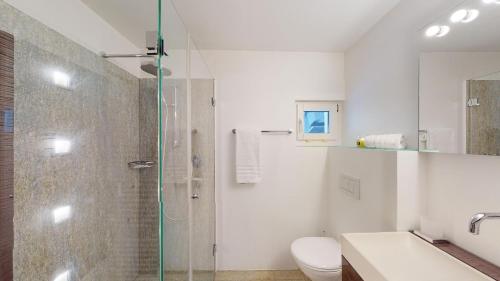 La salle de bains est pourvue d'une douche, de toilettes et d'un lavabo. dans l'établissement Palois Family Apartment Centre Lenzerheide, à Lenzerheide