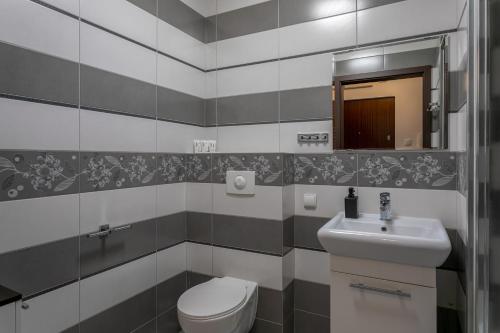 a bathroom with a toilet and a sink at Morza Szum Jantar TriApart in Jantar