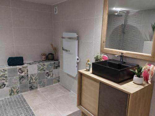 a bathroom with a sink and a shower at gite A L' ÉVIDENCE in Mornas