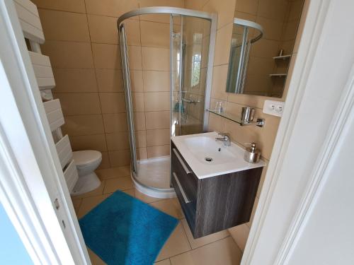 a bathroom with a sink and a shower and a toilet at La Mélanotte in Toulouse