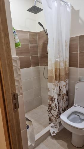 a bathroom with a toilet and a shower at Deghceni clubhouse in Dilijan