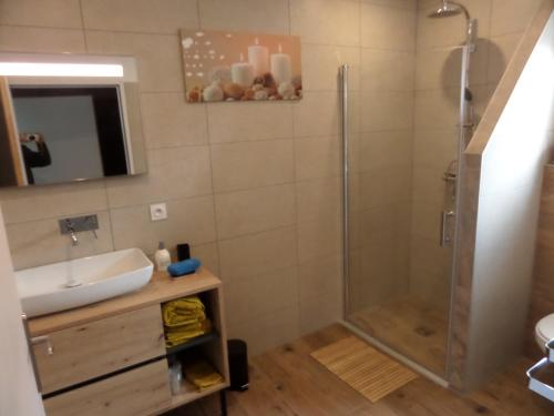 a bathroom with a shower and a sink at Au Clos Decoeur in Salaise-sur-Sanne