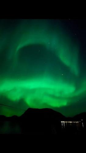 an image of the green northern lights in the sky at Beautiful view - close to the sea, mountains and nature in Kvaløya