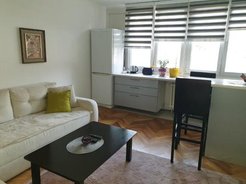 Zona d'estar a apartman oli