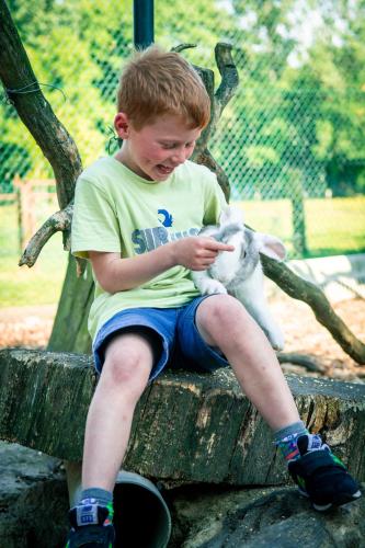 a young boy sitting on a stump with a cat at Poezelhoekvallei Loft in Zonnebeke